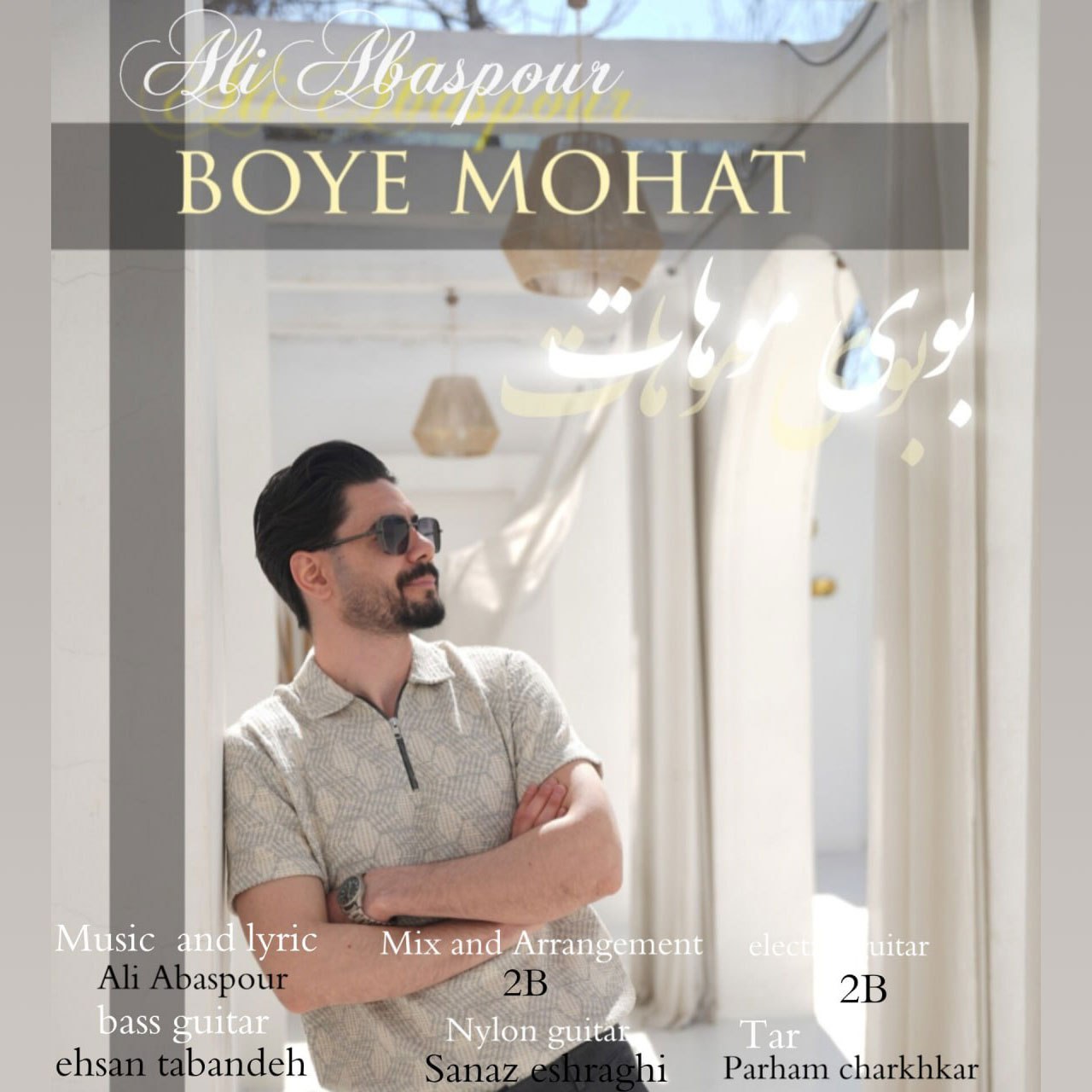 Ali Abbaspour Boye Mohat