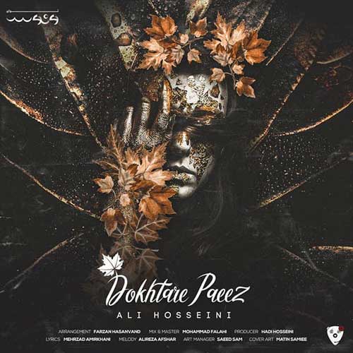 Ali Hosseini Dokhtare Paeez