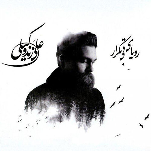 Ali Zand Vakili Najvaye Choupan