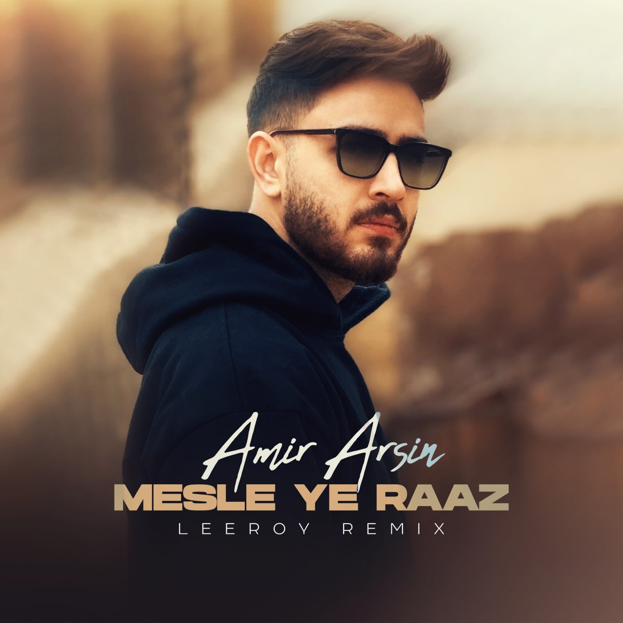 Amir Arsin Mesle Ye Raaz LeeRoy