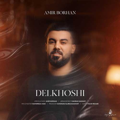 Amir Borhan Delkhoshi