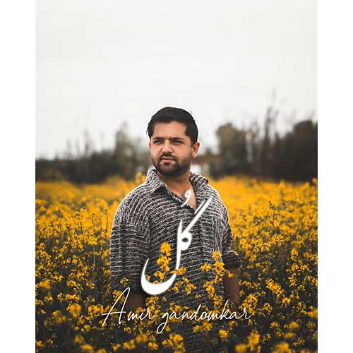 Amir Gandomkar Gol