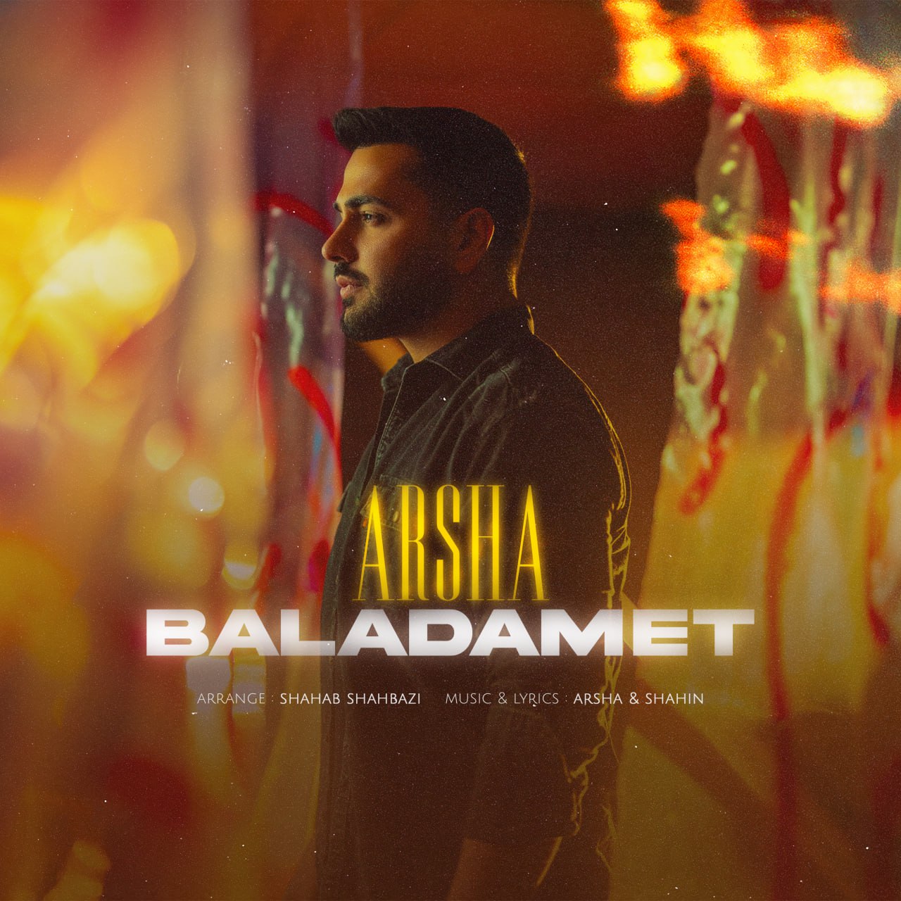 Arsha Baladamet