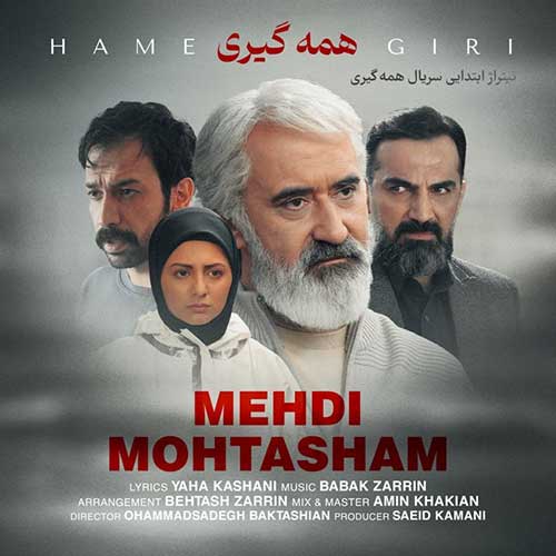 Mehdi Mohtasham Hamegiri