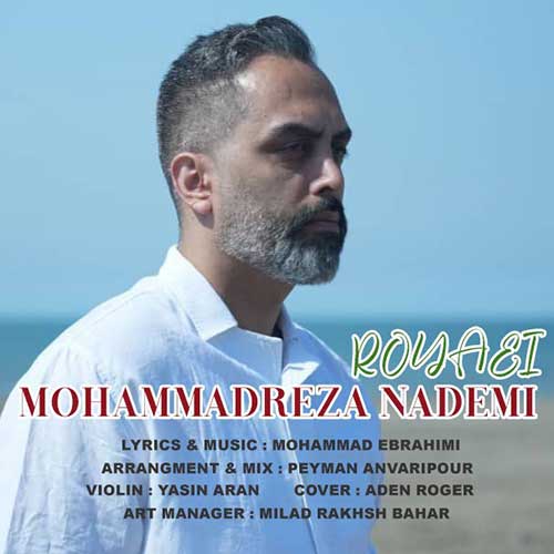 Mohammadreza Nademi Royaei