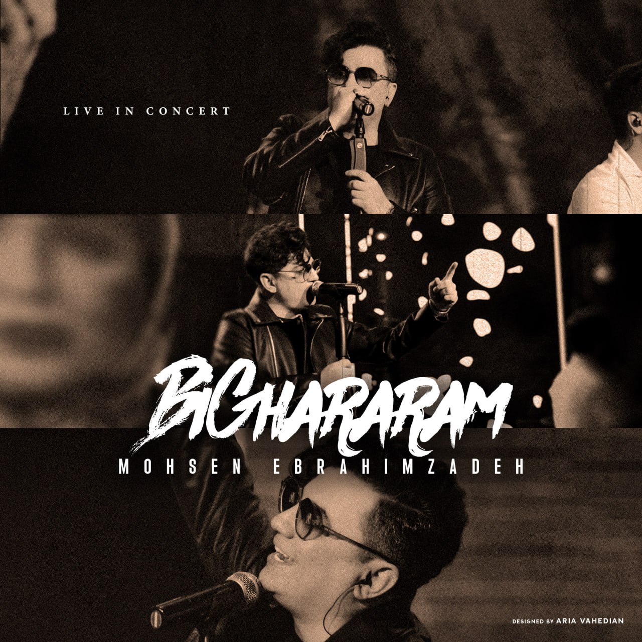 Mohsen Ebrahimzadeh Bi Ghararam Live In Concert
