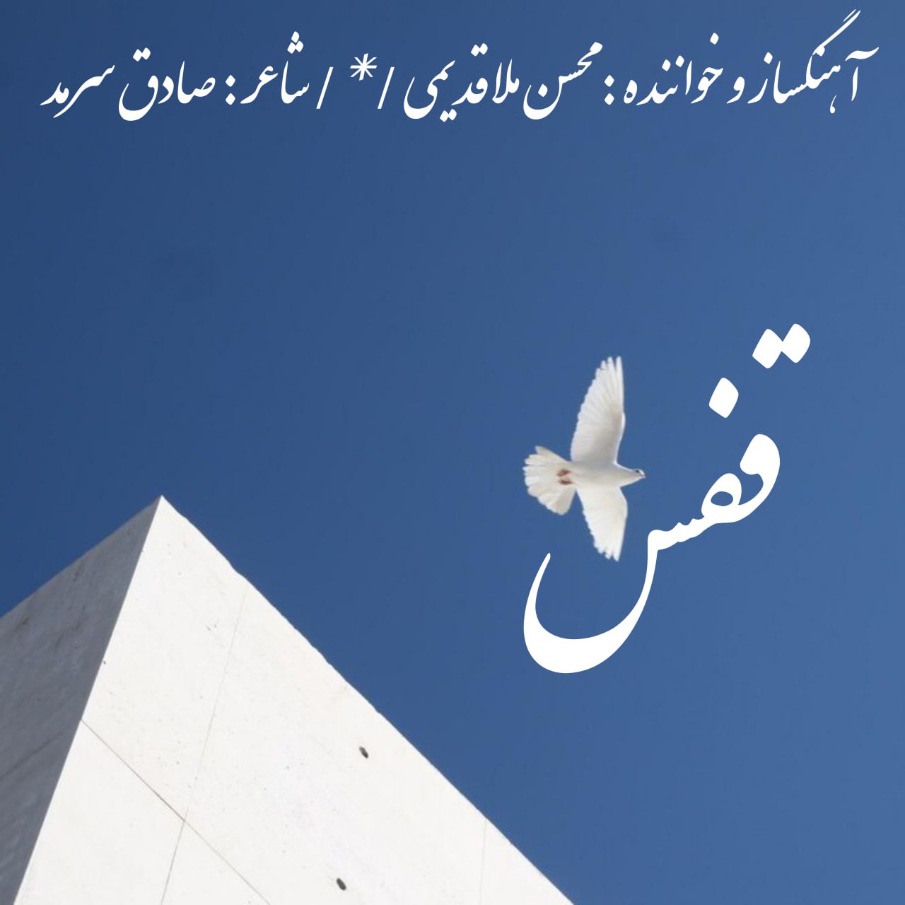 Mohsen Mollaghadimi Ghafas