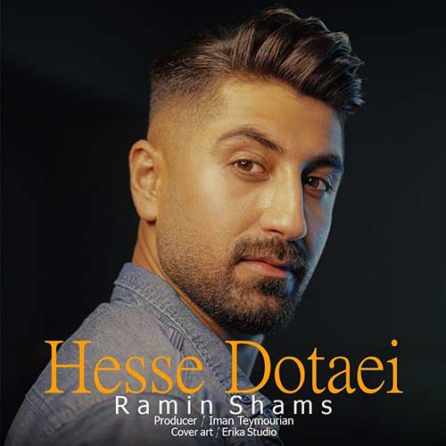 Ramin Shams Hesse Dotaei