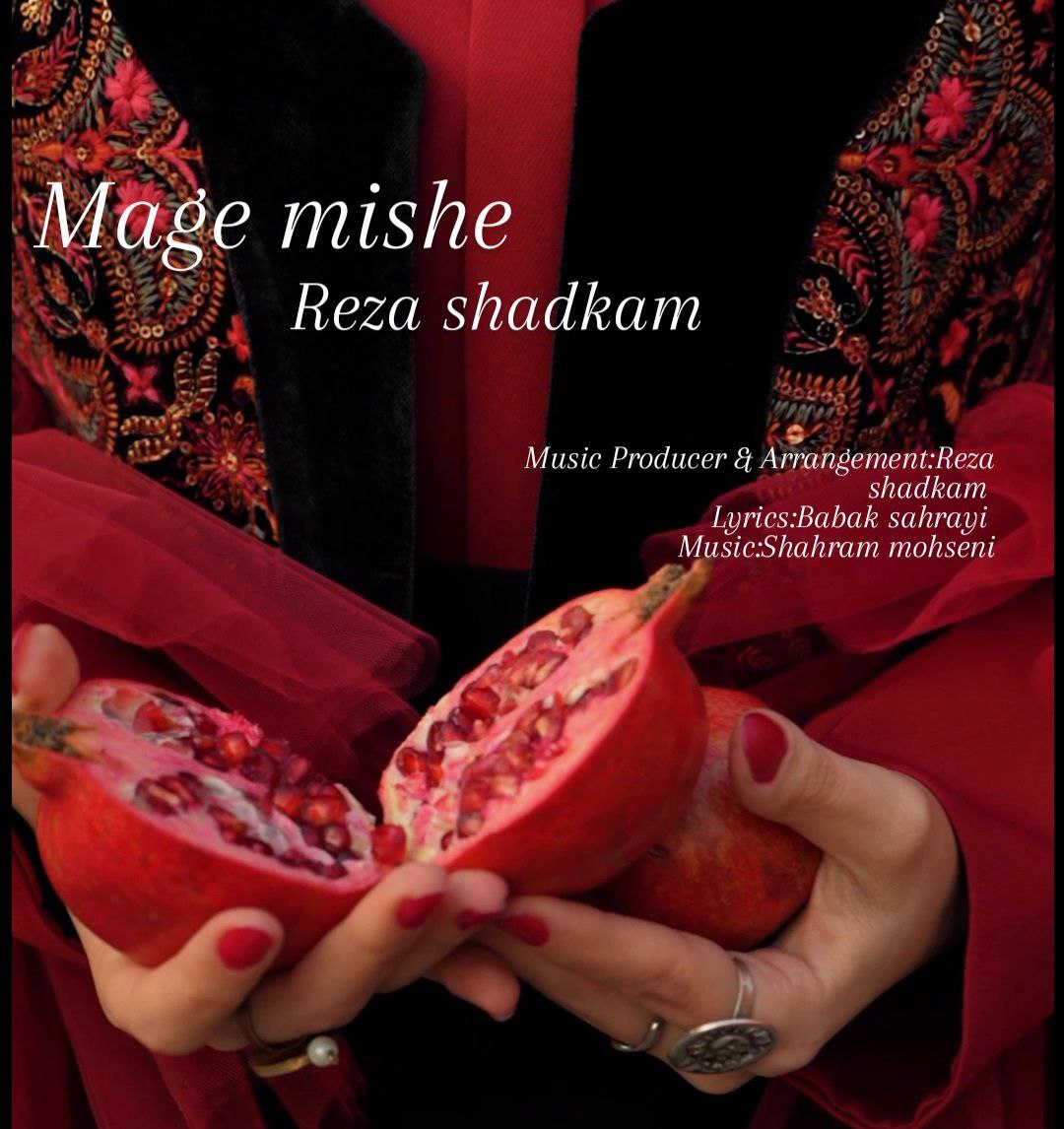 Reza Shadkam Mage Mishe