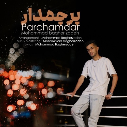mohammad bagherzadeh parchamdar