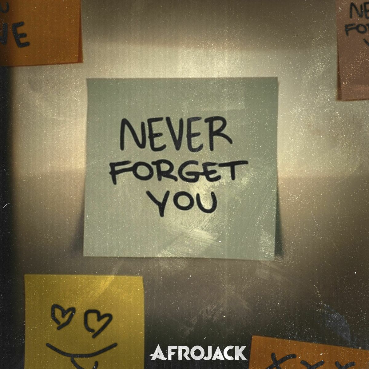 AFROJACK Never Forget You