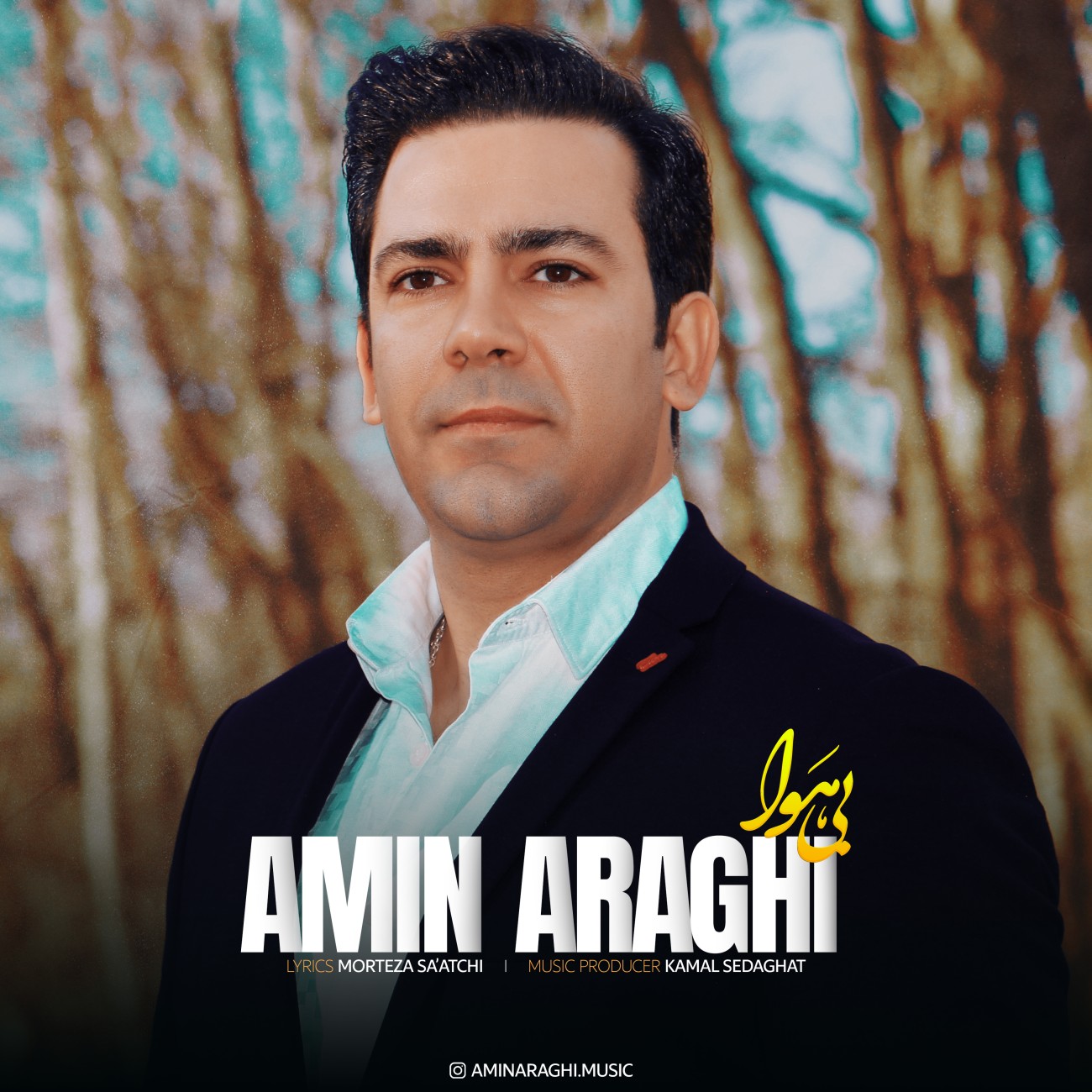 Amin Araghi Bi Hava