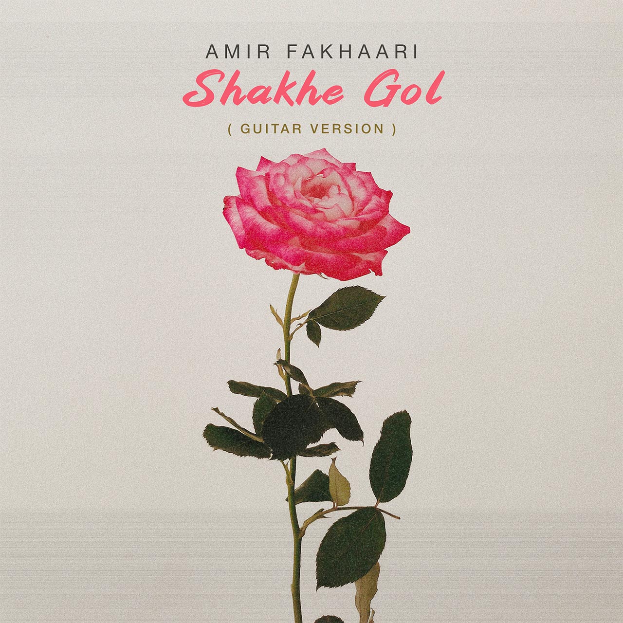 Amir Fakhaari Shakhe Gol Guitar Version