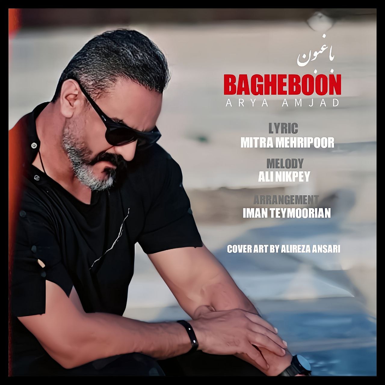 Arya Amjad Bagheboon