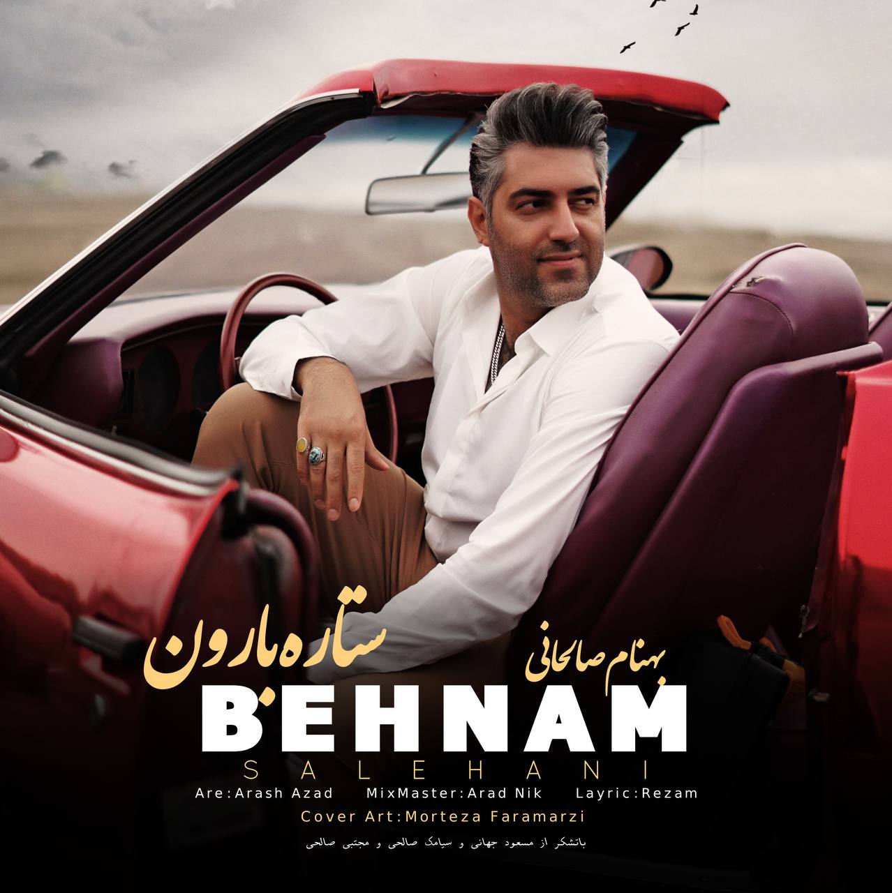 Behnam Salehani Setareh Baroon