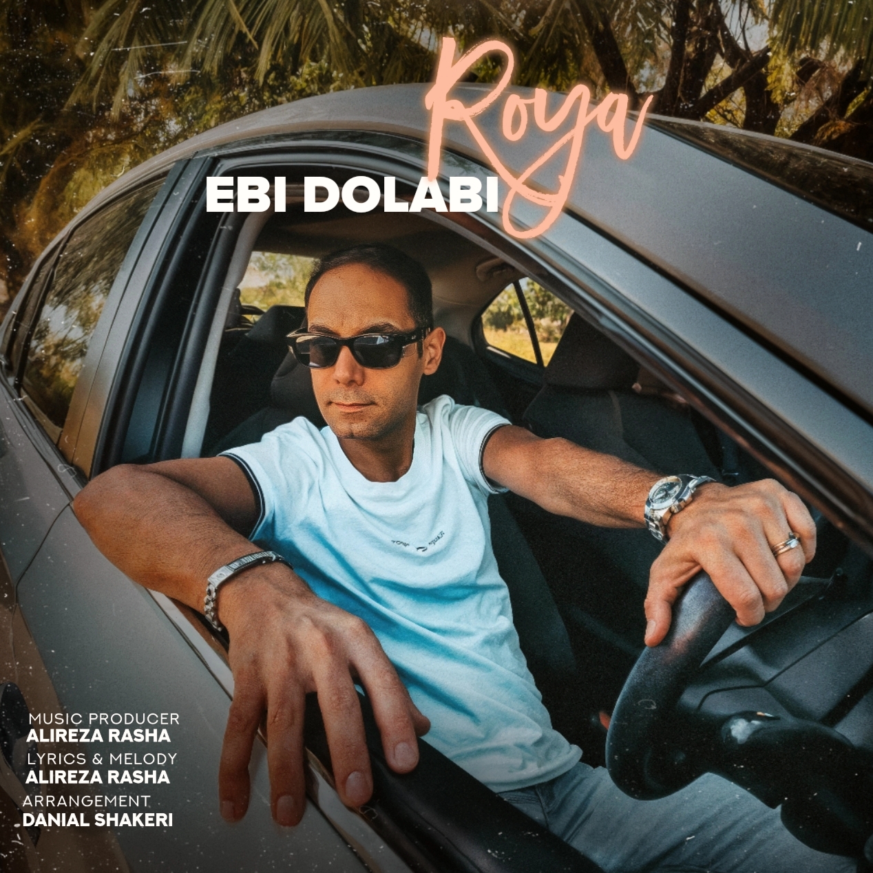 Ebi Dolabi Roya