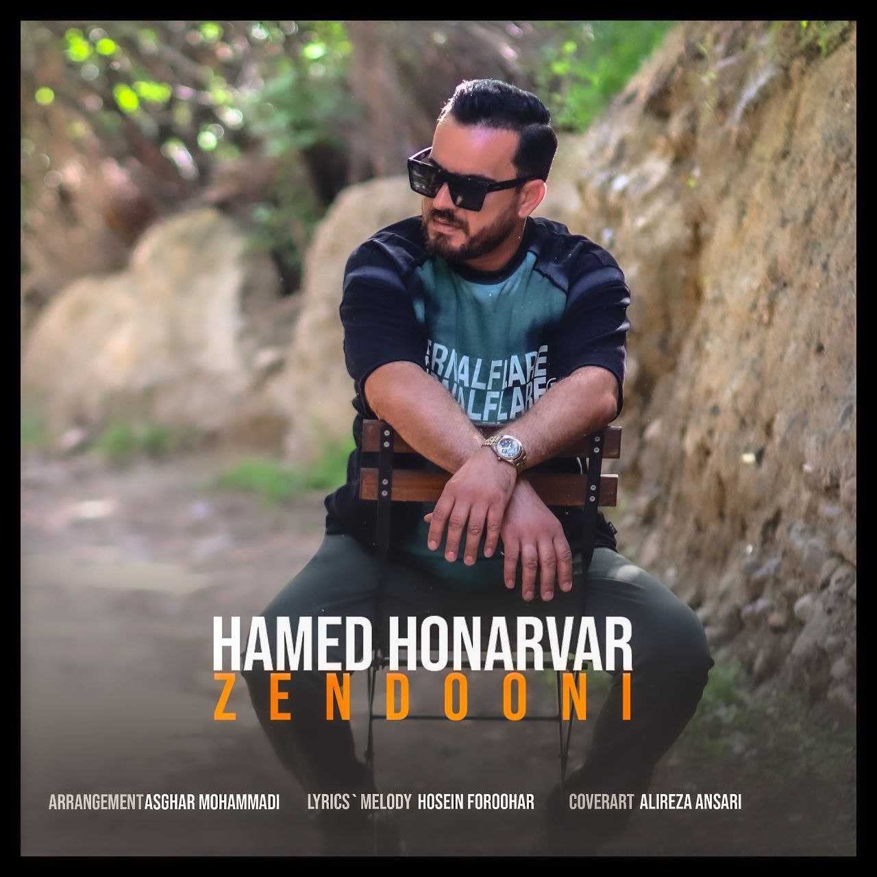 Hamed Honarvar Zendooni