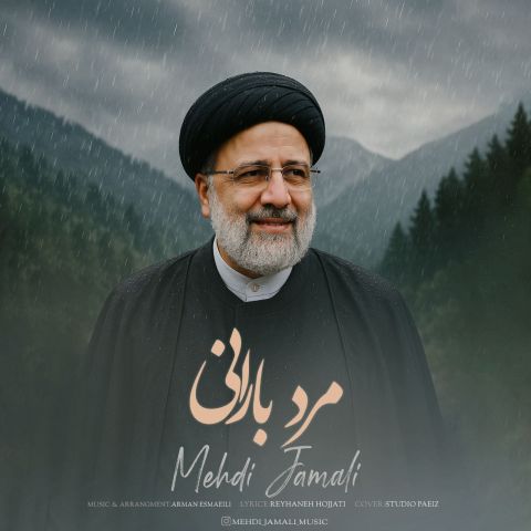 Mehdi Jamali Marde Barani