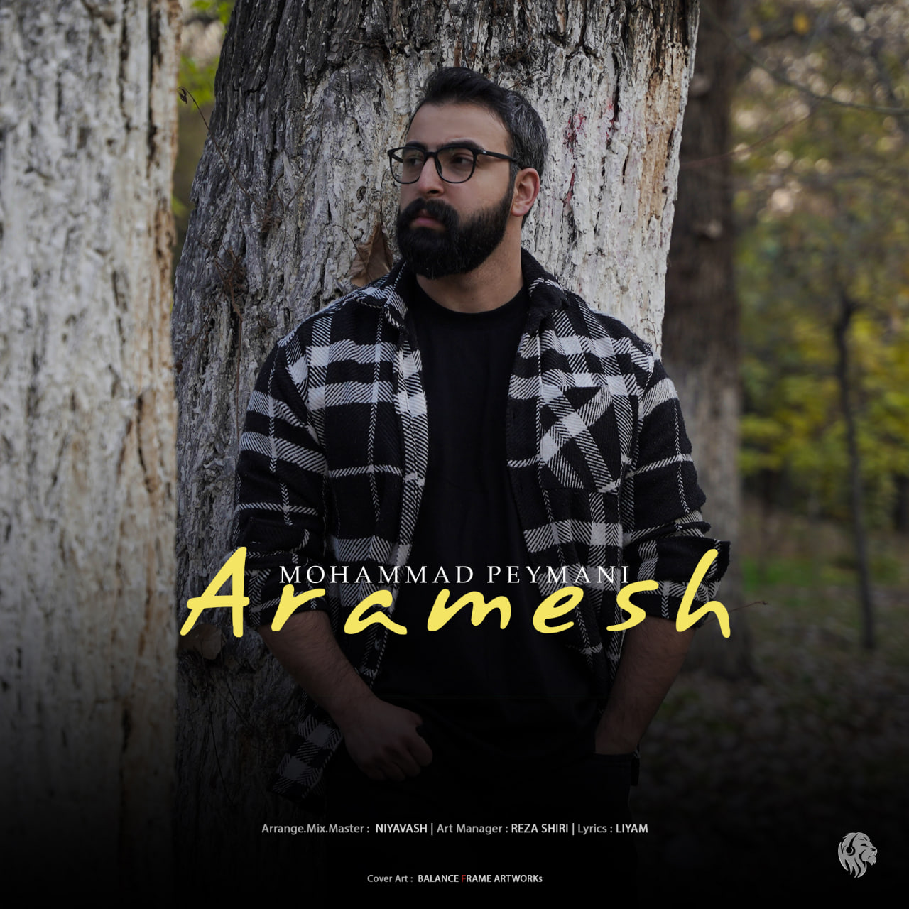 Mohammad Peymani Aramesh