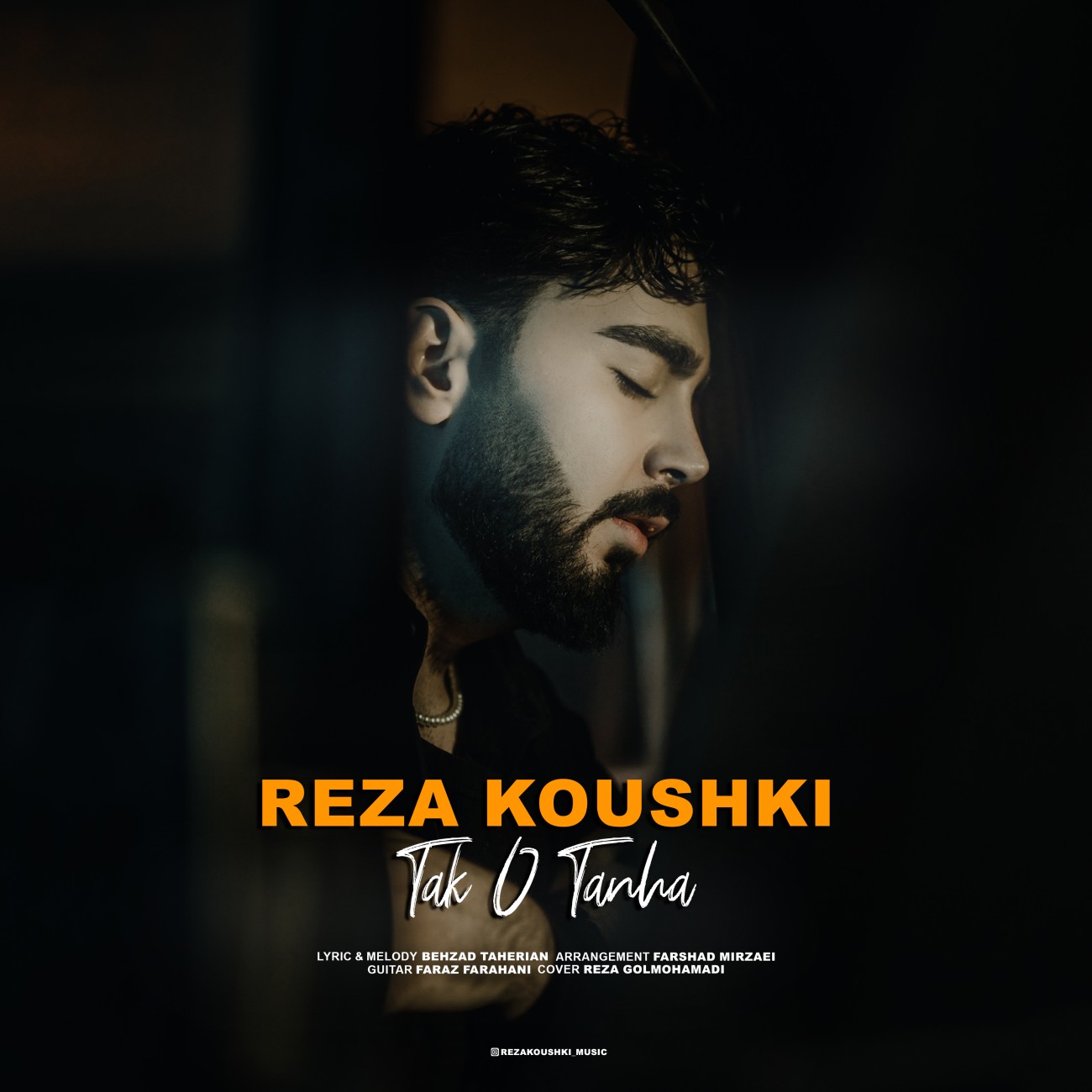 Reza Koushki Tak o Tanha