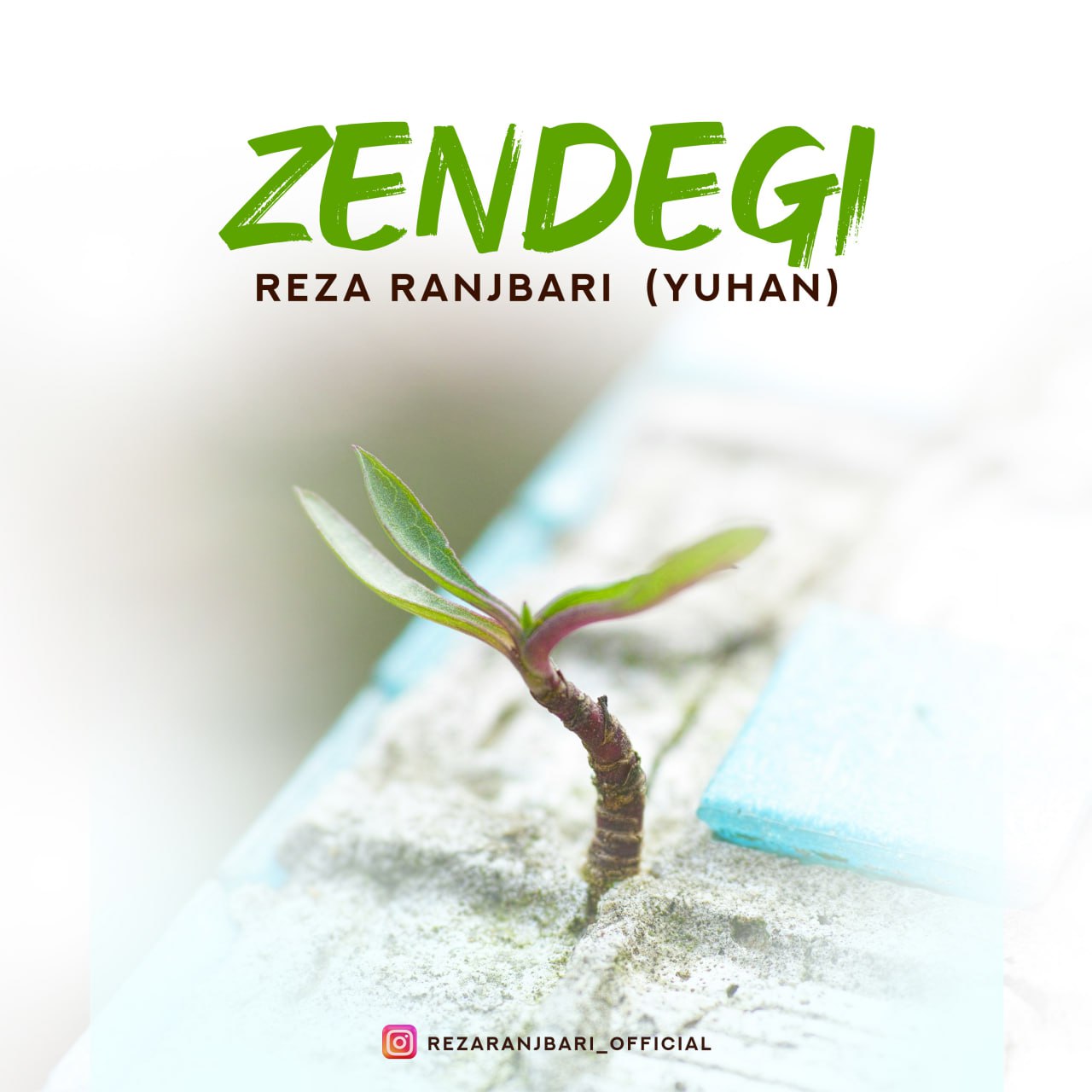 Reza Ranjbari Zendegi