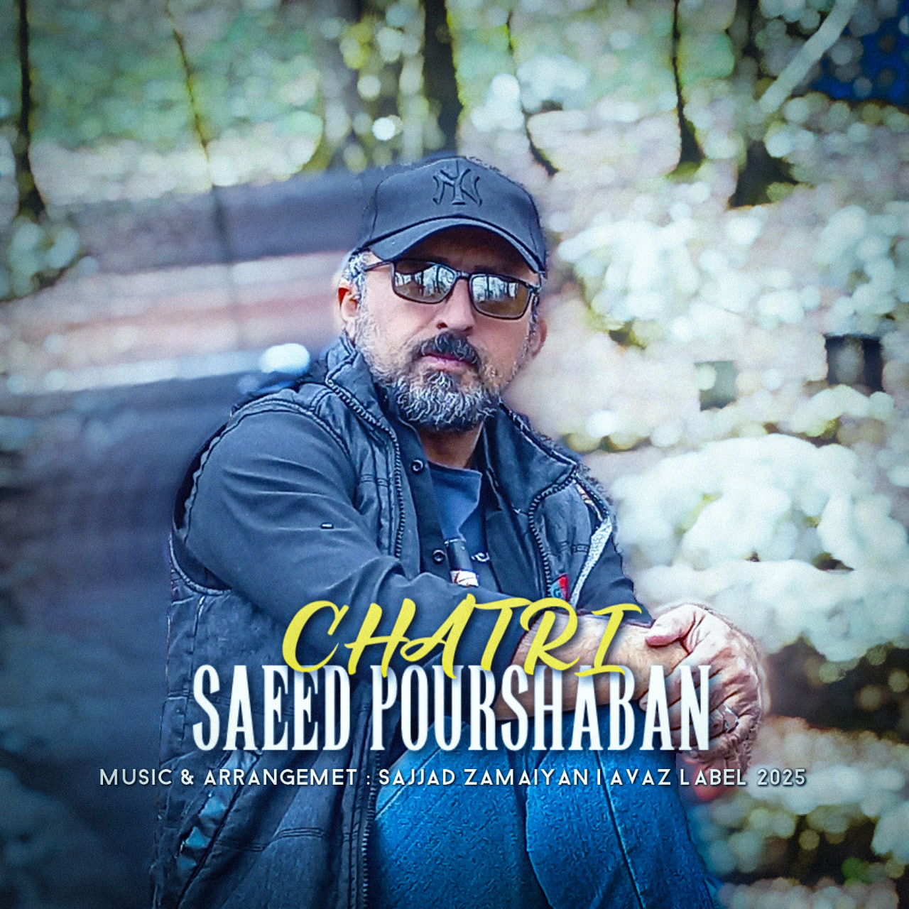 Saeed Pourshaban Chatri