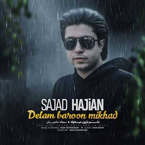 Sajad Hajian Delam Baroon Mikhad