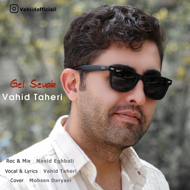 Vahid Taheri Gel Sevak