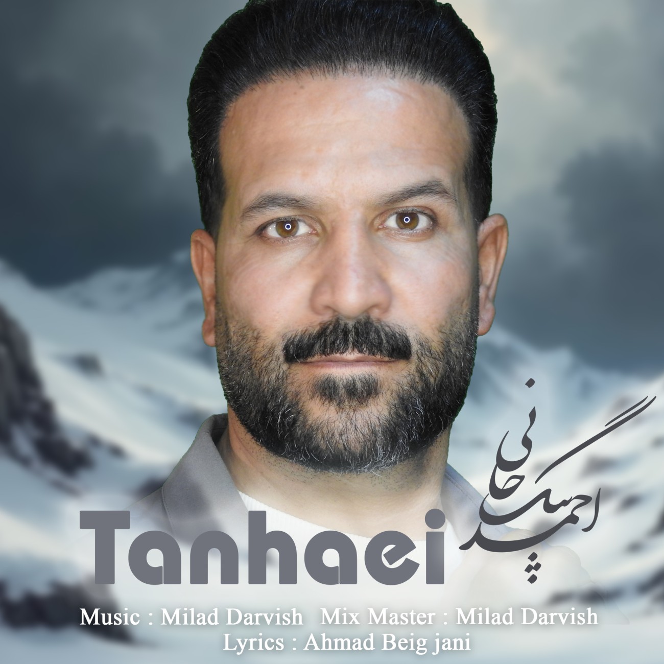 Ahmad Beig Jani Tanhaei