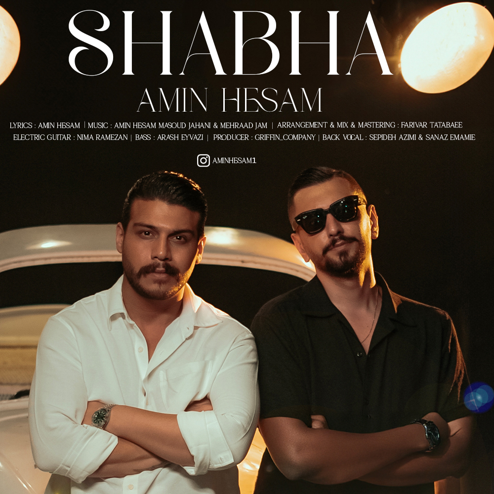 Amin Hesam Shabha
