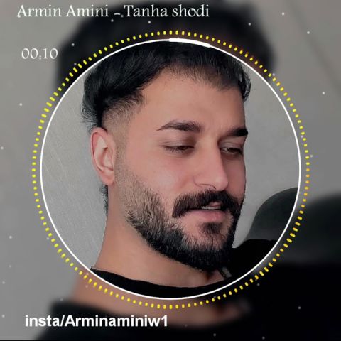 Armin Amini Tanha Shodi