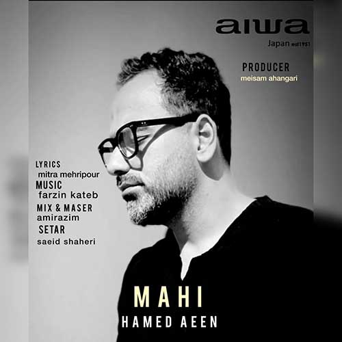 Hamed Aeen Mahi