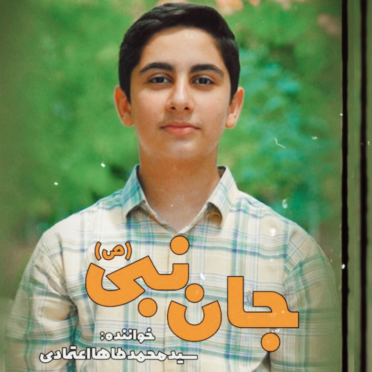 Mohammad Taha Etemadi Jane Nabi
