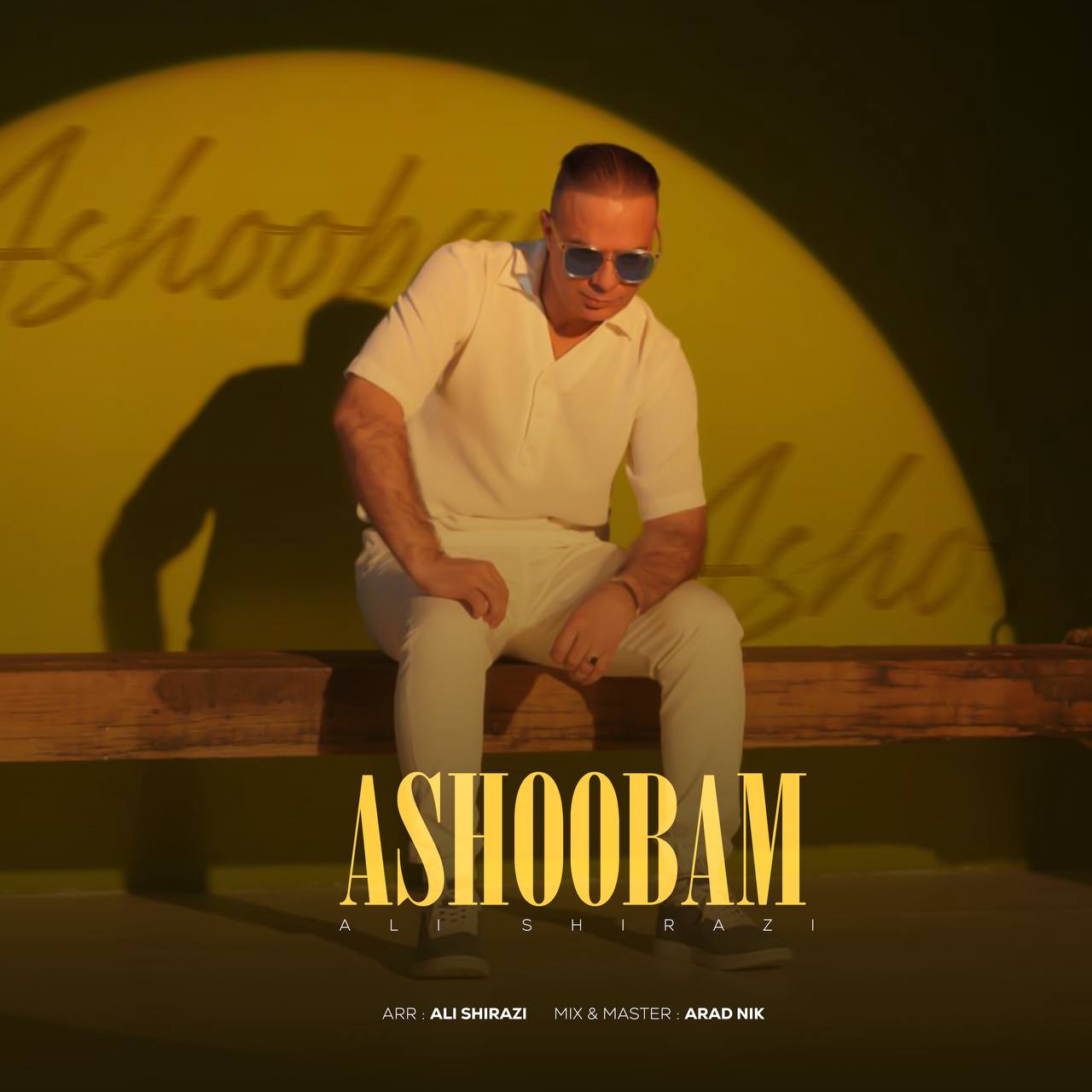 دانلود آهنگ جدید آشوبم از علی شیرازی