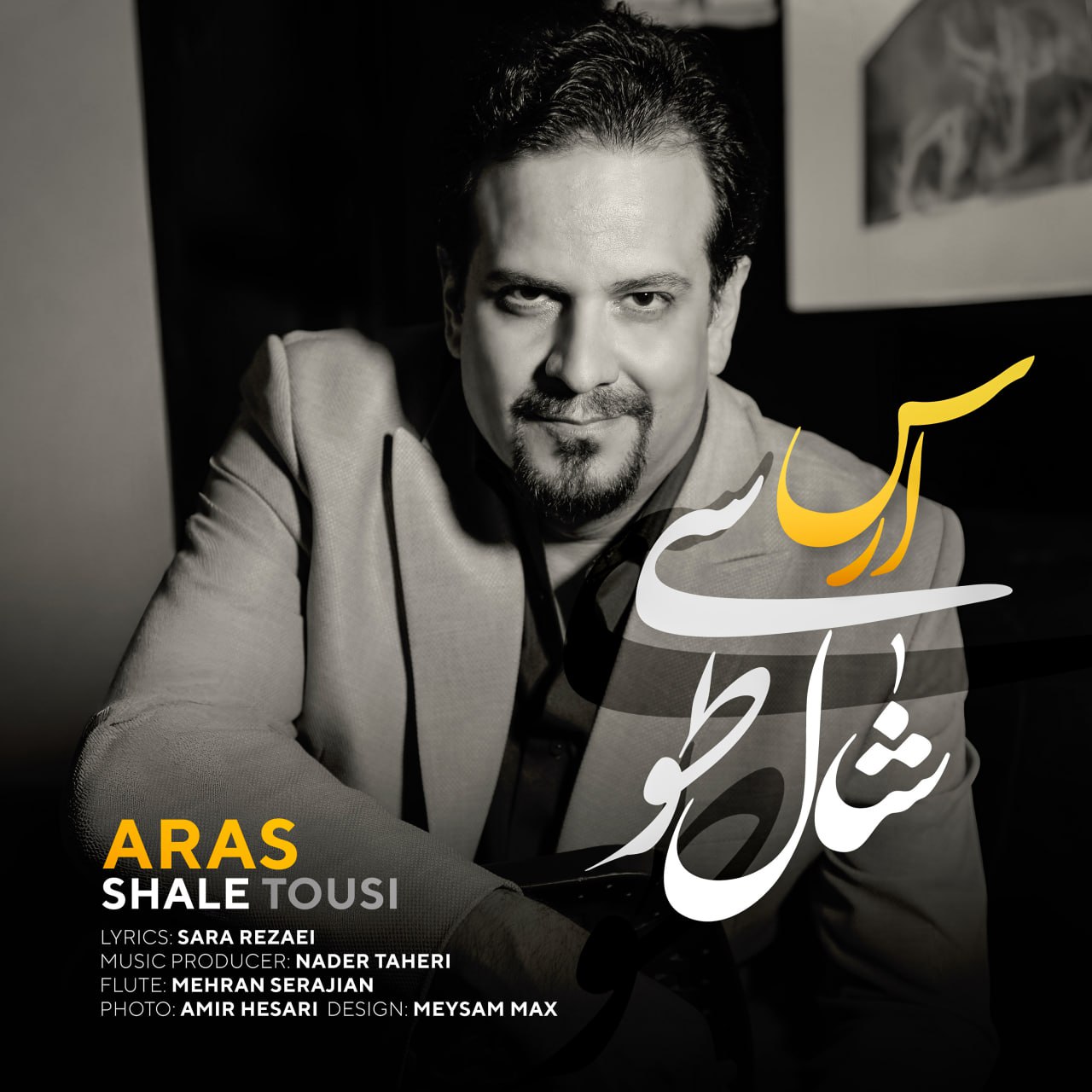 دانلود آهنگ جدید شال طوسی از ارس