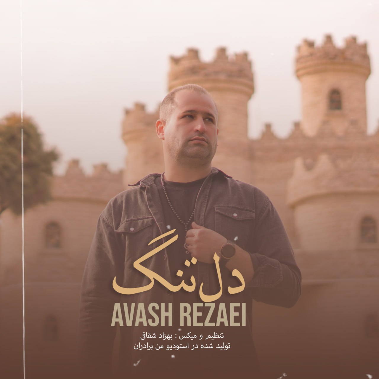 دانلود آهنگ جدید دلتنگ از آوش رضائی