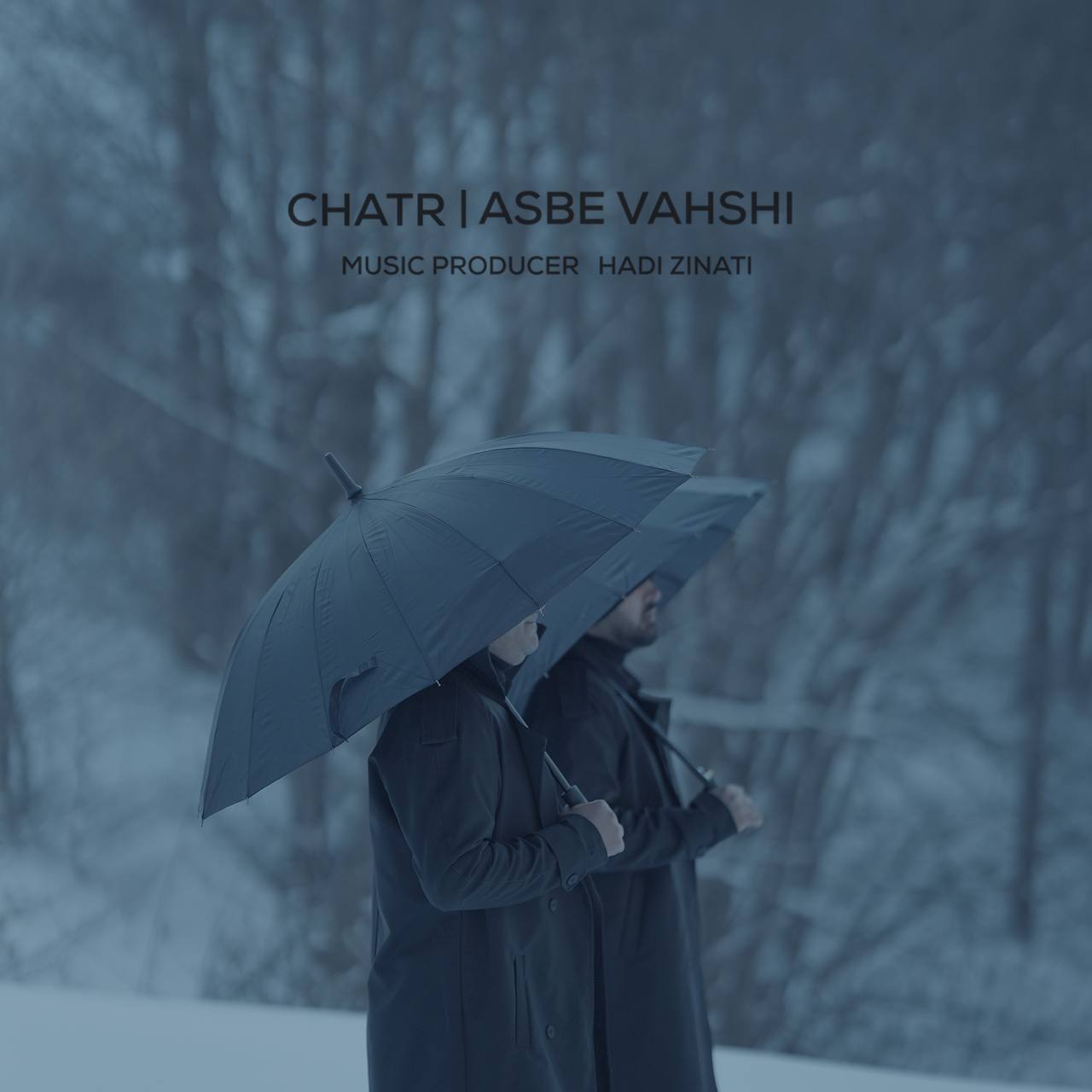 دانلود آهنگ جدید اسب وحشی از چتر