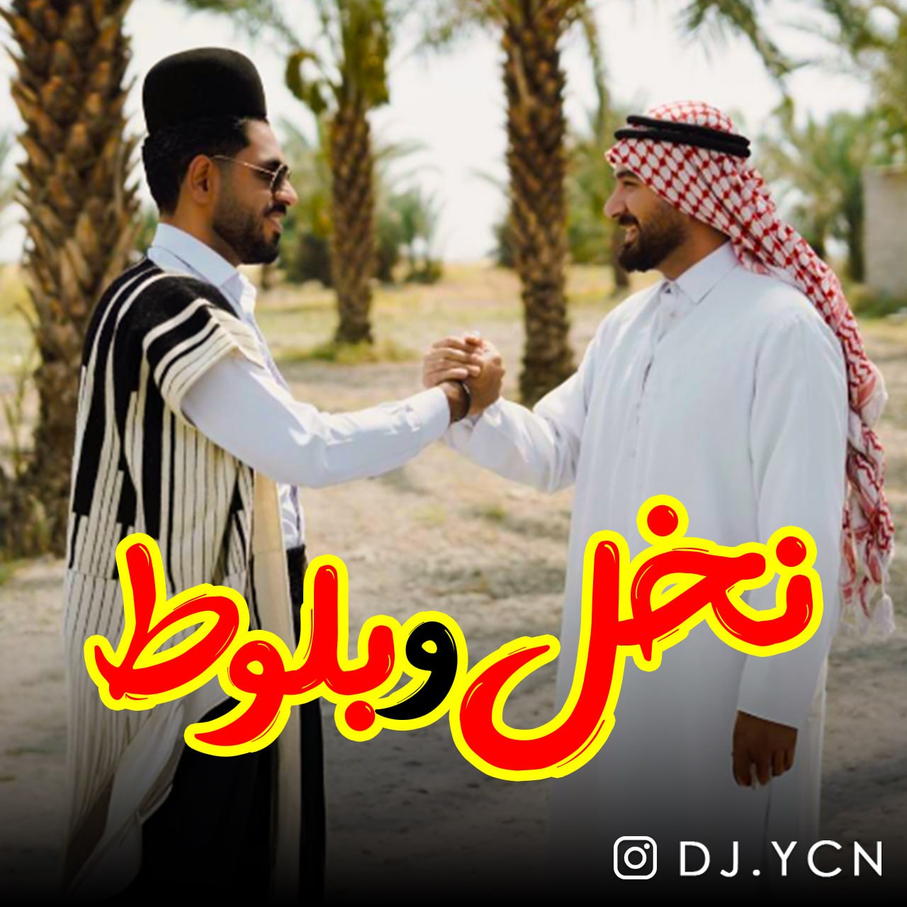 دانلود آهنگ جدید نخل و بلوط از دیجی یاسین