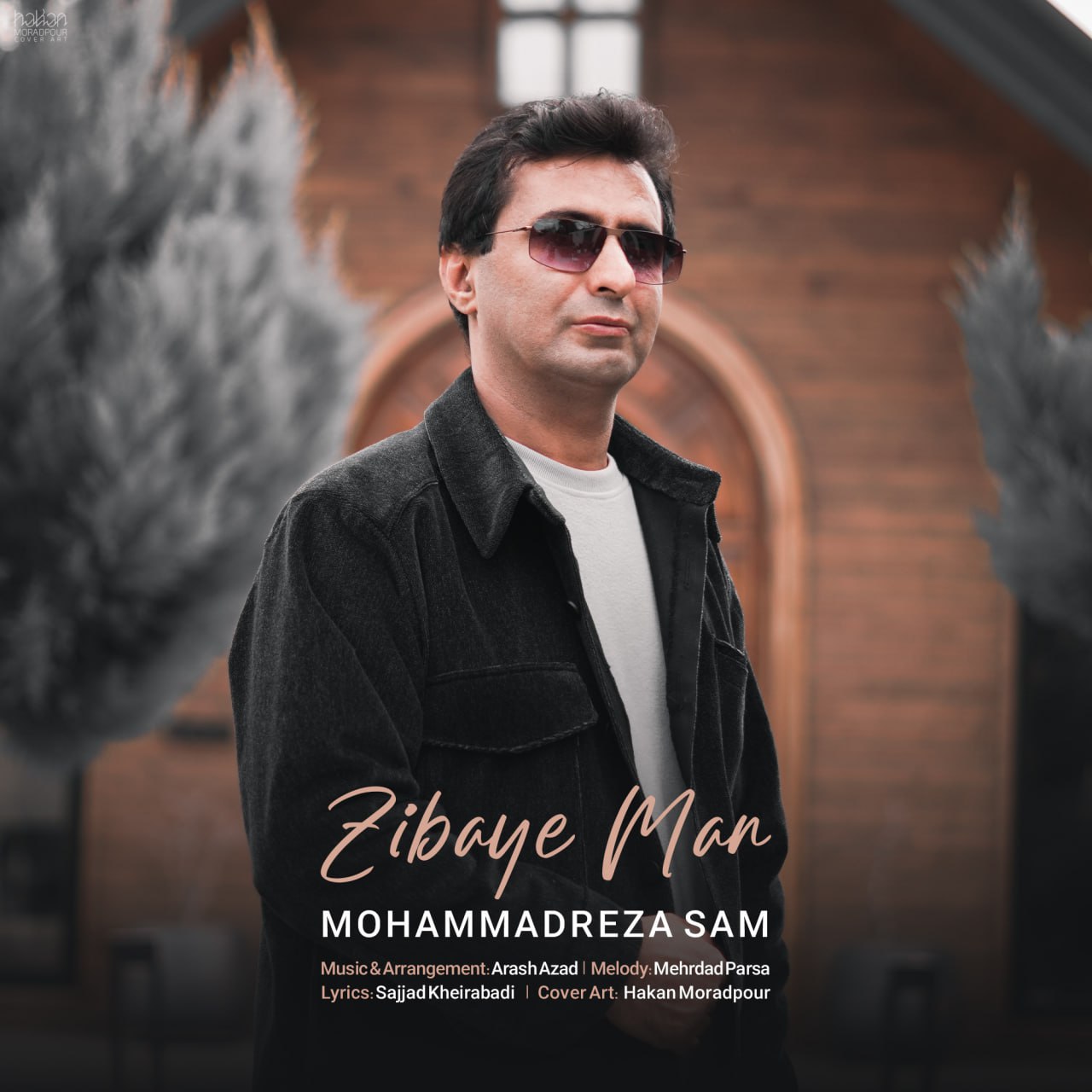 دانلود آهنگ جدید زیبای من از محمدرضا سام