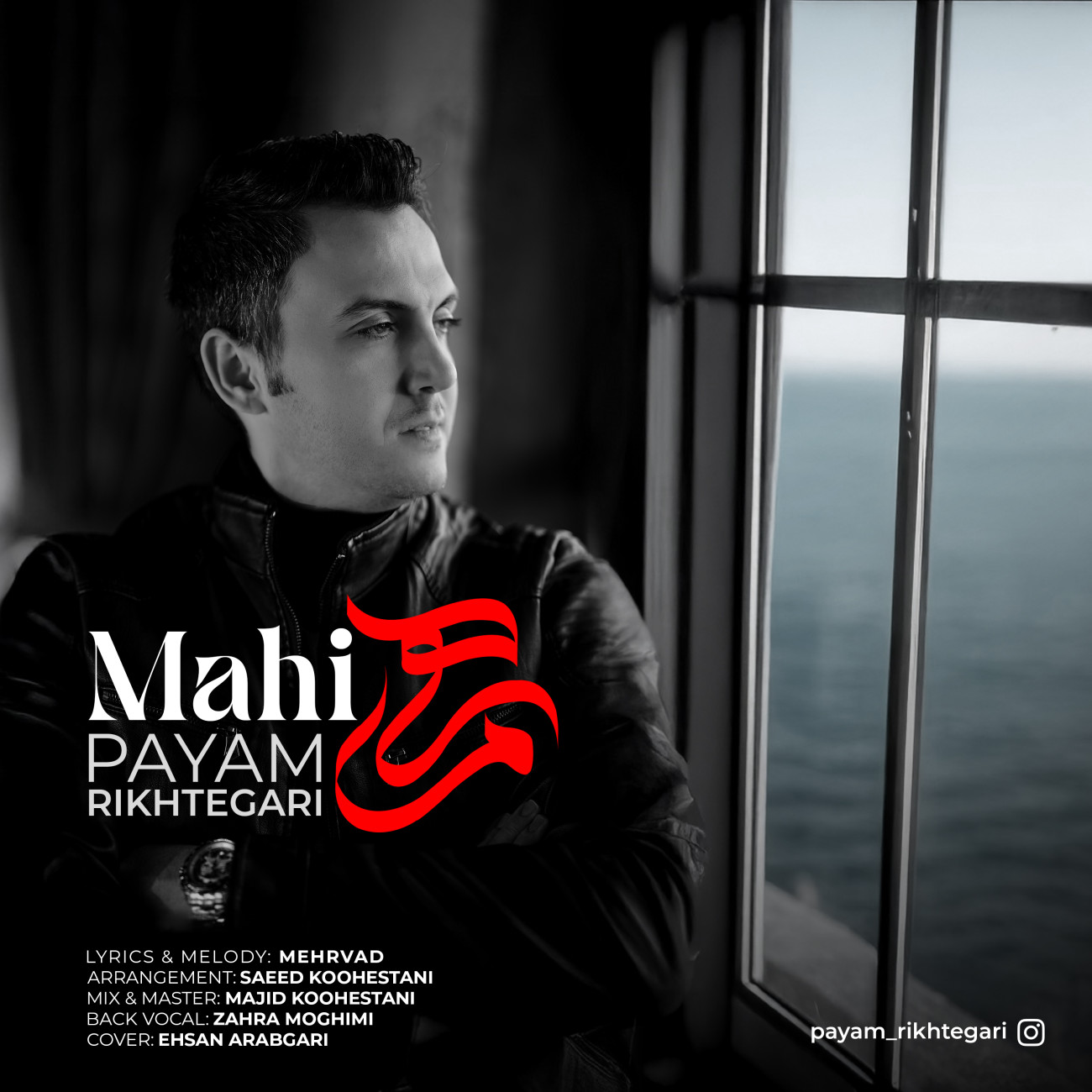 دانلود آهنگ جدید ماهی از پیام ریخته گری