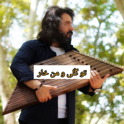 دانلود آهنگ جدید تو گلی و من خار عزیز از پوریا مافی