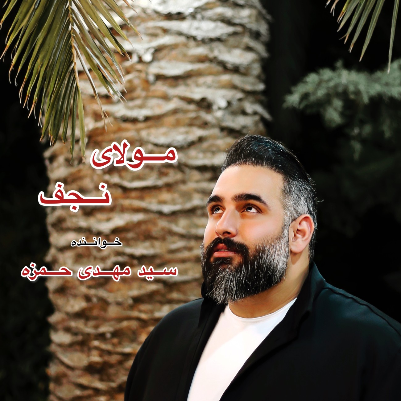 دانلود آهنگ جدید مولای نجفی از سید مهدی حمزه