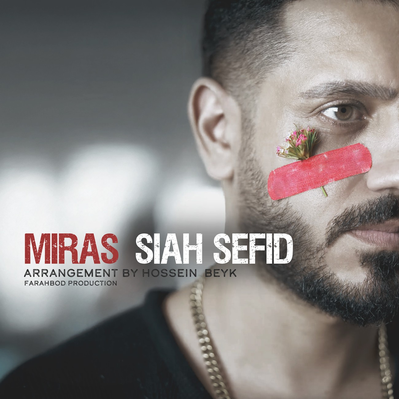 دانلود آهنگ سیاه سفید از میراث