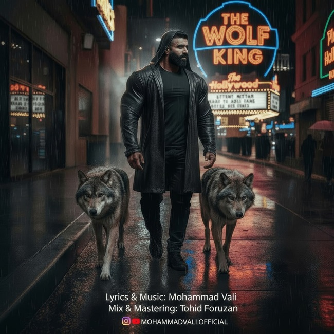 دانلود آهنگ پادشاه گرگ ها از محمد والی