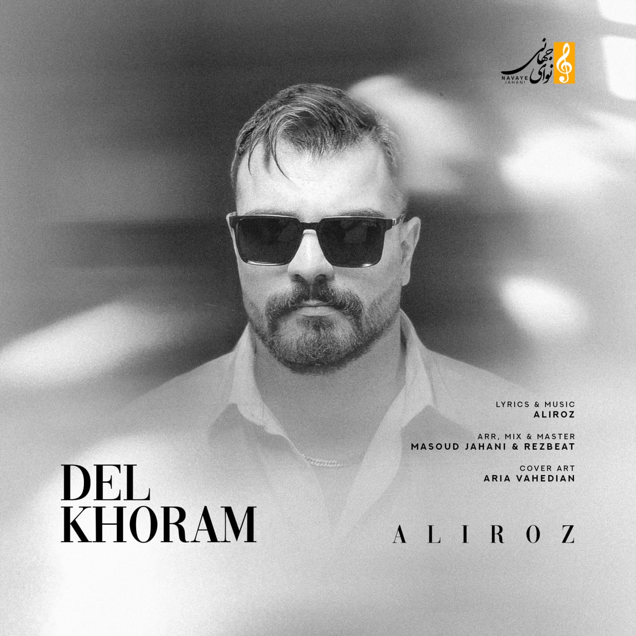 دانلود آهنگ دلخورم از علی رز