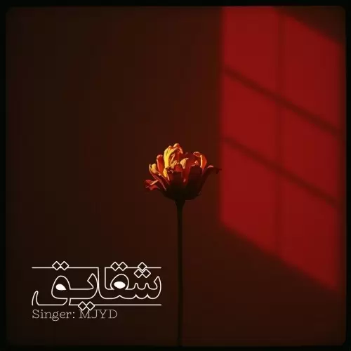 دانلود آهنگ شقایق از ام جی