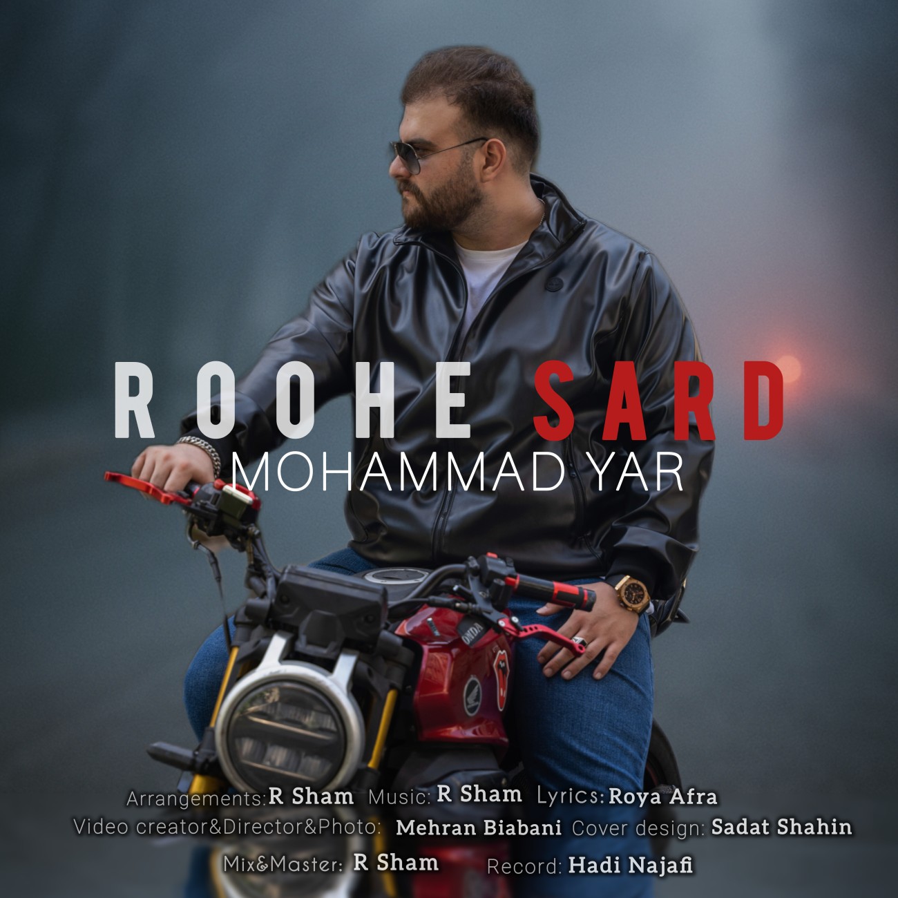 دانلود آهنگ روح سرد از محمد یار