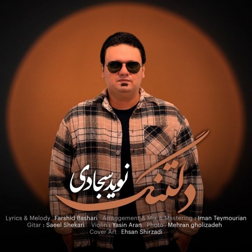 دانلود آهنگ دلتنگ از نوید سجادی