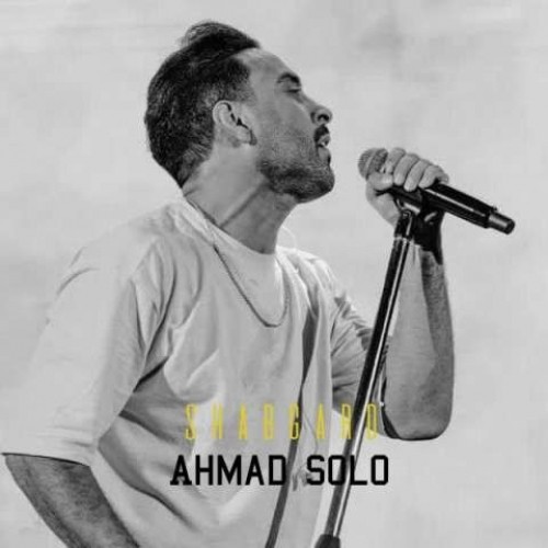 دانلود آهنگ شبگرد از احمد سلو