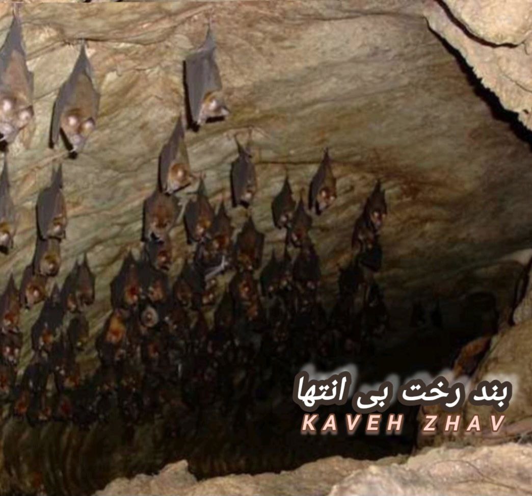دانلود آهنگ بند رخت بی انتها بیکلام از کاوه ژاو